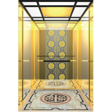 Ascenseur d&#39;ascenseur d&#39;ascenseur de maison Ascenseur d&#39;ascenseur à la maison Hl-X-021